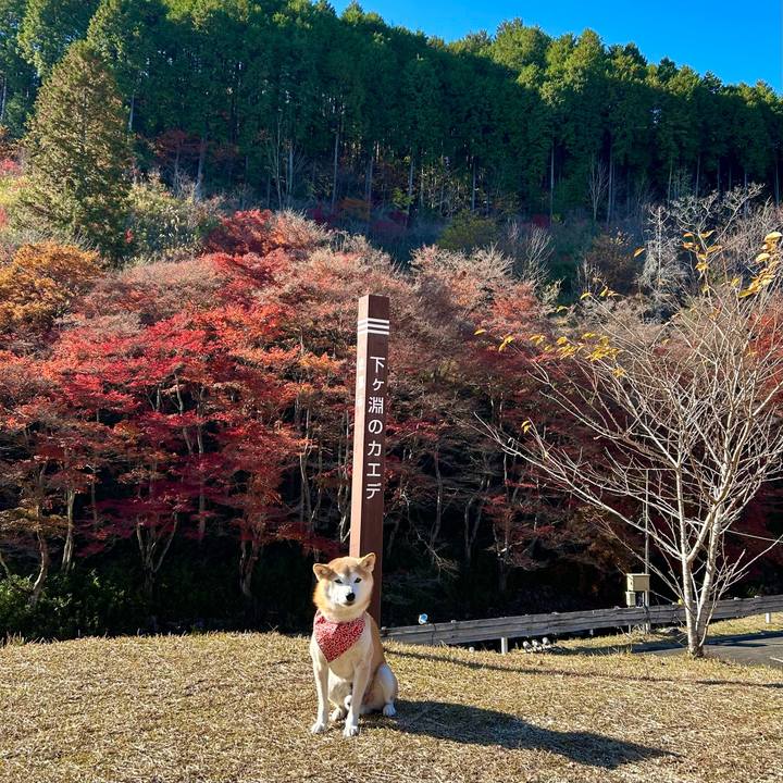 133ba098 e393 460d ad92 47a172556e5c 1700467460313