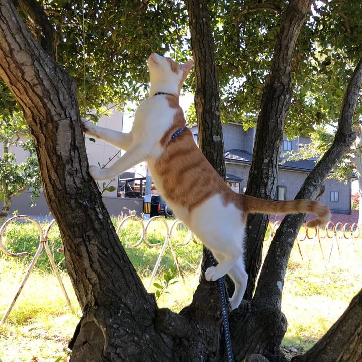 133bc1b8 22d4 44a5 8d46 f4bd4aad201c 1539839460154