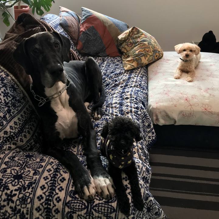 133bc8ea 95d7 4ba6 9f07 36328c0017cc 1516662123032