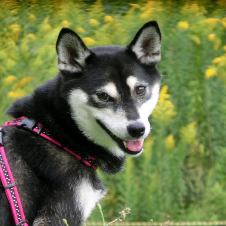 133bd123 2099 4ade b0f5 ad4af63aacef 1539489368233