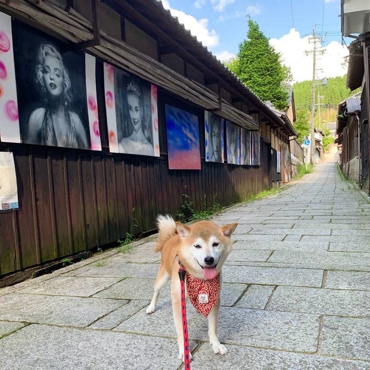 133bd5b0 cf03 4d5f b72e 1b8e0eb7ce7d 1660208002287