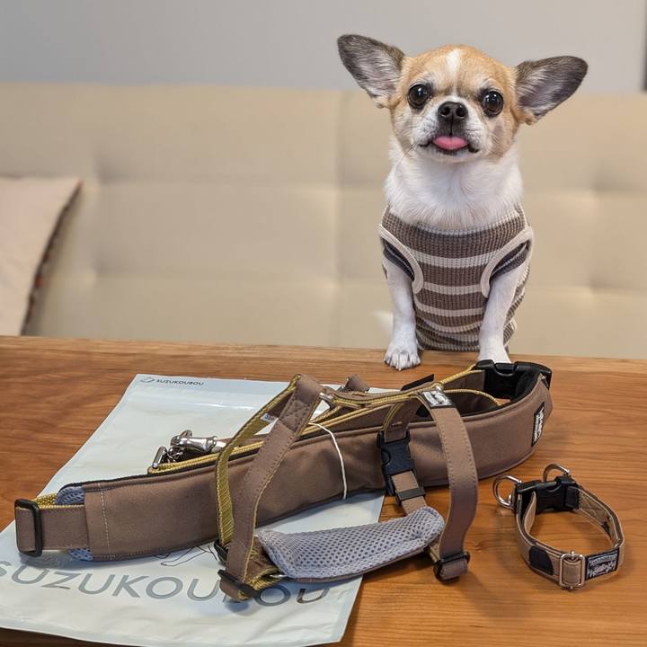 133c1298 0145 4e71 a754 bb9246df41e1 1731745361042