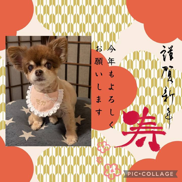 133c3a5f 5bc0 4923 b930 d5f198a9d107 1767219083679