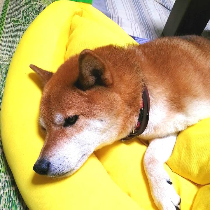 133c87bb b0bf 4a3e afbd d1fd940e40d0 1659019099292