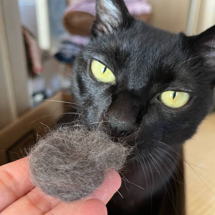 133ca8e1 04f3 43c1 841f 1d03aa476af1 1768361250354