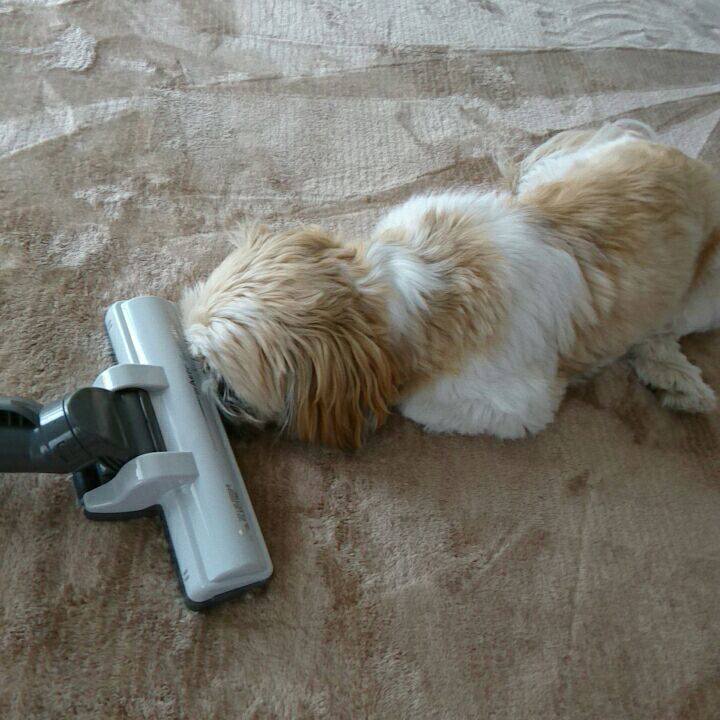 133cb572 5810 48ee 82ab c942a6ea4915 1519369859763