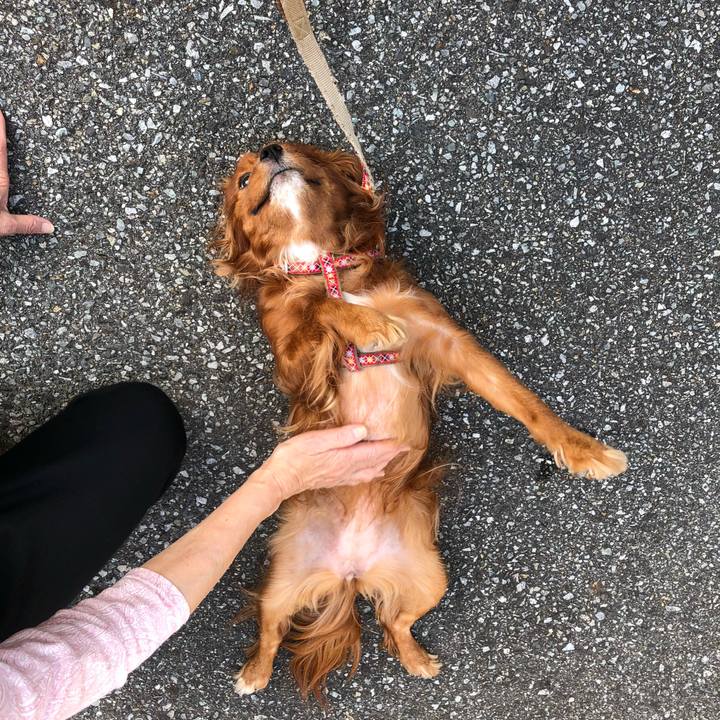 133cc4d5 62e7 4410 b65e c8567e0fbc93 1590222023314