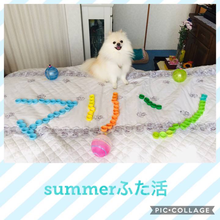 133ce656 9cde 486f a375 c4a584536ba5 1565849690026