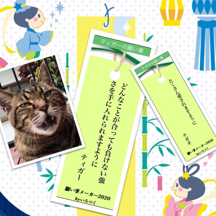 133d0920 eabb 4d81 8e83 e42509d12af3 1594106562558