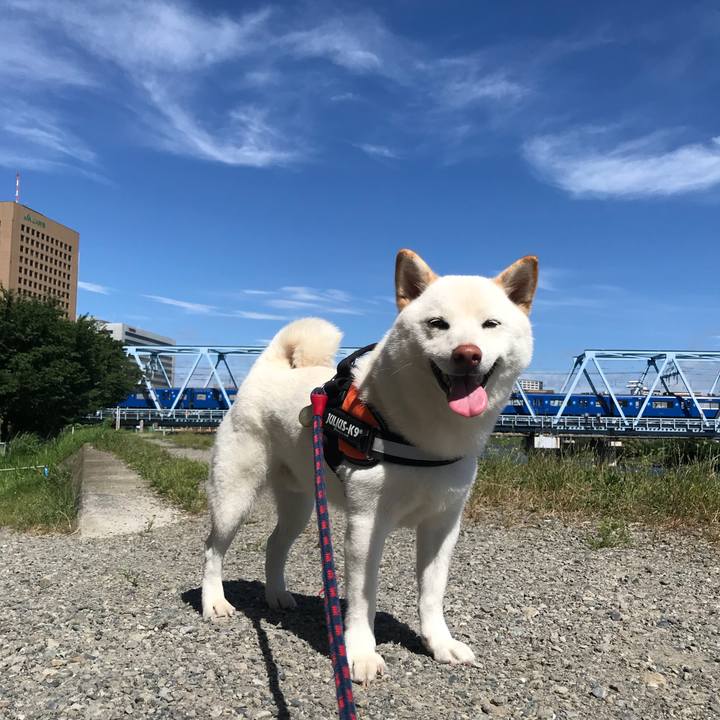 133d2e0f 0c1b 4c54 9944 59cc62540764 1530237907647