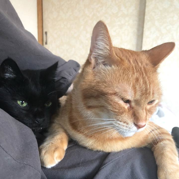 133d65e0 84f7 45b6 abd2 9029a81aa5af 1638080374230