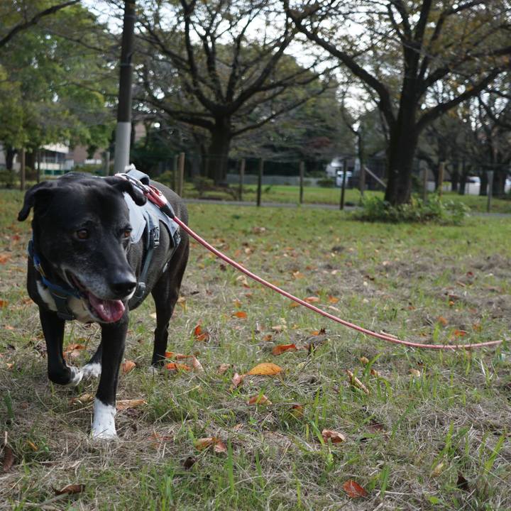 133d7954 3d1c 4c4a 85a8 25a0dc037aa7 1761786480257