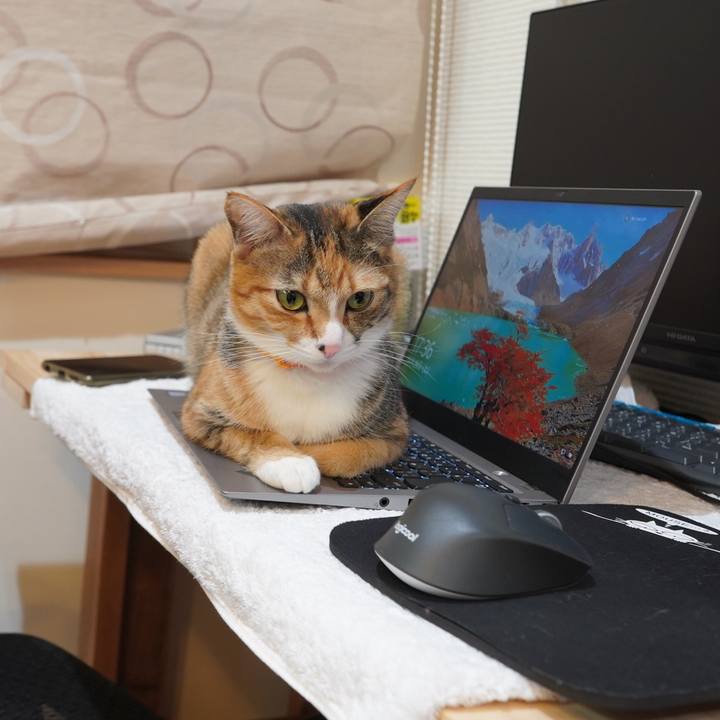 133d85cb 2940 40cc a0da cdf59dbaa2a0 1606561379880