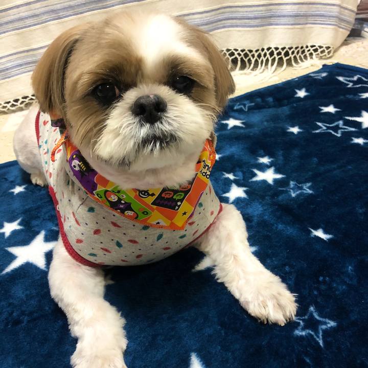 133d8b6e 8c17 4113 8ab8 87f78e738292 1572144156327