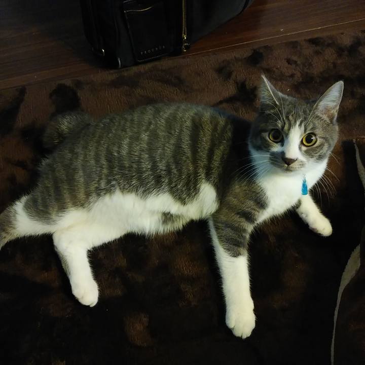 133d94d5 6a73 440d 8554 b15c418871ac 1575856041261