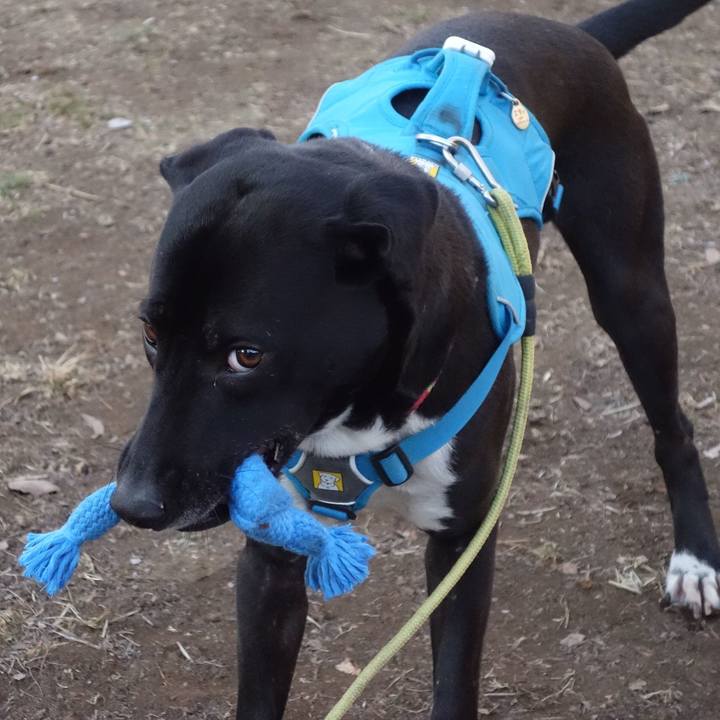 133de07b f8ed 449f 8fd6 04ddc444270a 1612831768585