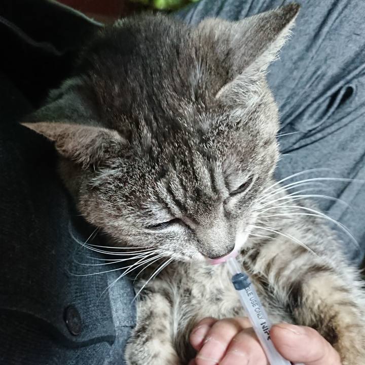 133e429d 1bd6 490a 8532 4848876bfa72 1583790563121