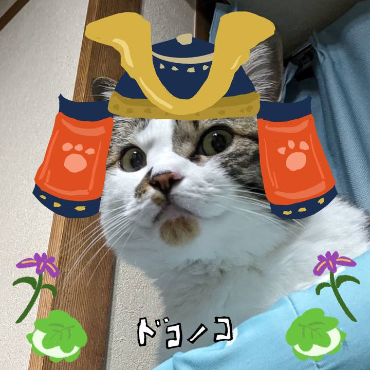 133e4740 e968 4d47 b722 6b84432acc5d 1714907578629