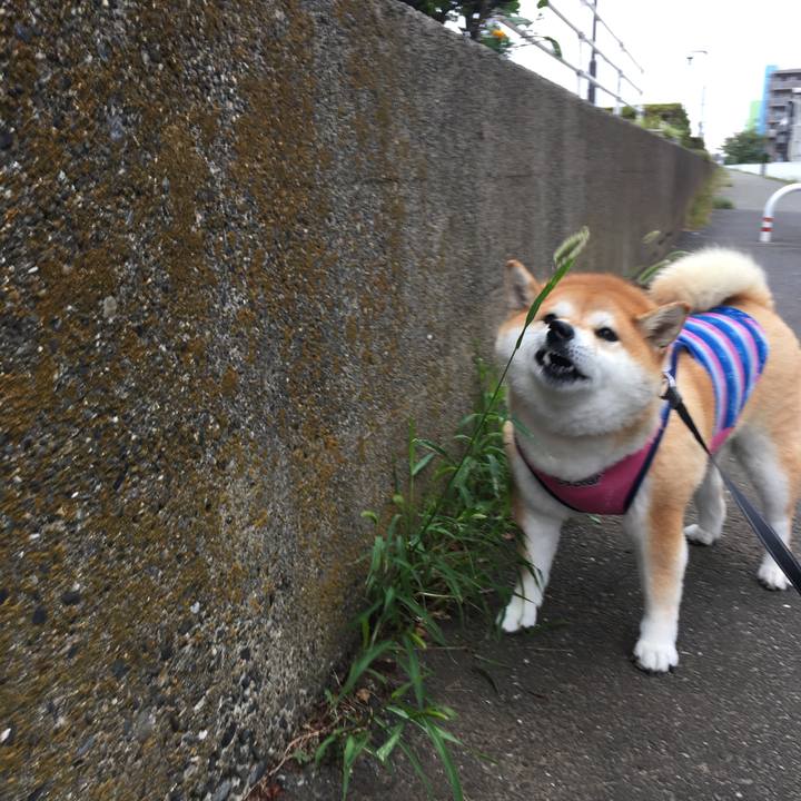 133e6cf1 8231 4bd3 b75f 11d7f7f29ba0 1568337601146