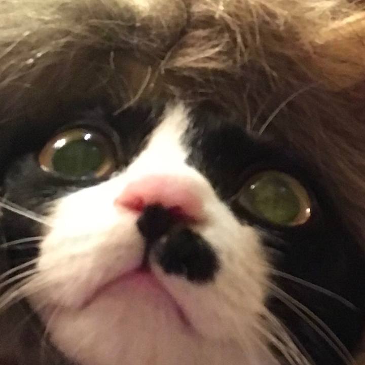 133e748e 62f4 4073 ad29 e8d7034fbe1e 1518614486903