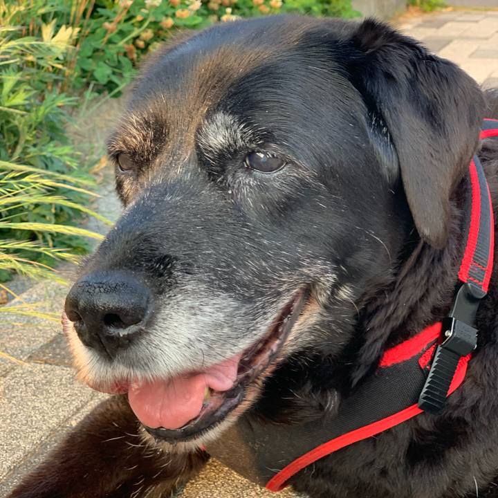 133e833b 7618 4aaa 94de ad20361fae7d 1653427220981