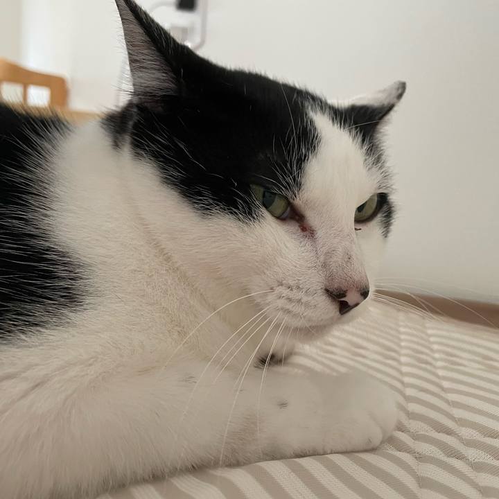 133eb6d1 f8f5 4f8f 902f ba62d0243a75 1657947067650