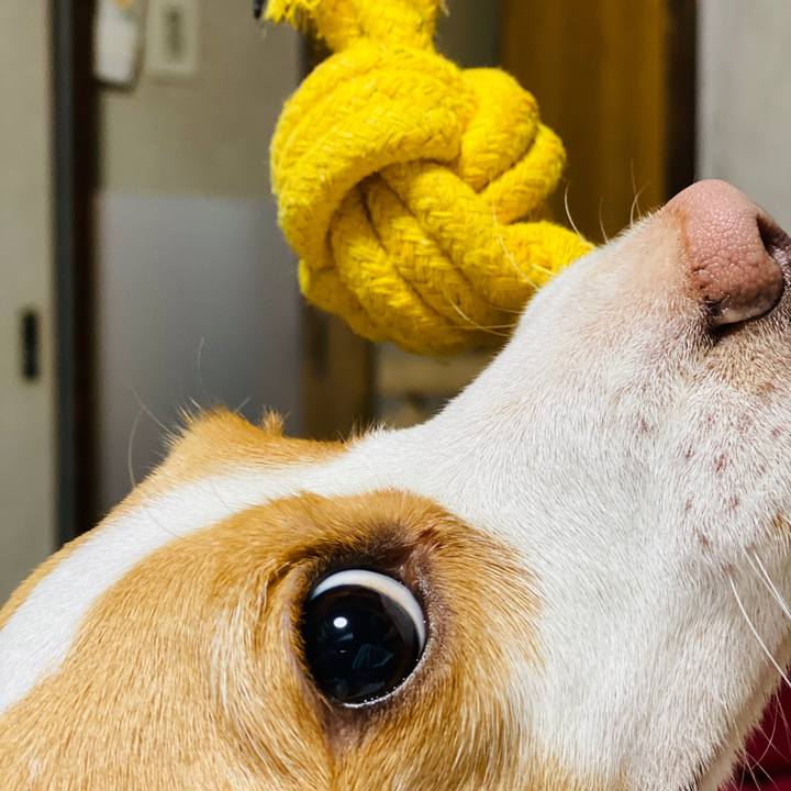 133ec0b3 ea28 44a5 8451 b489a73ed761 1570885128797