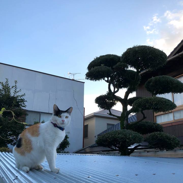 133ec6e2 3ae1 4011 b627 3e5032bebbf3 1634940584031