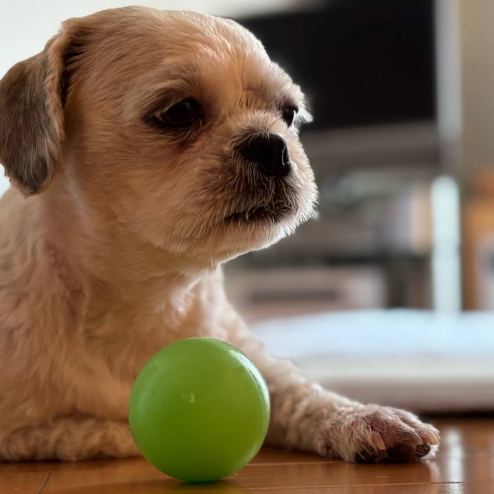 133ede54 c88b 410c 8907 536d1039c182 1756763011800