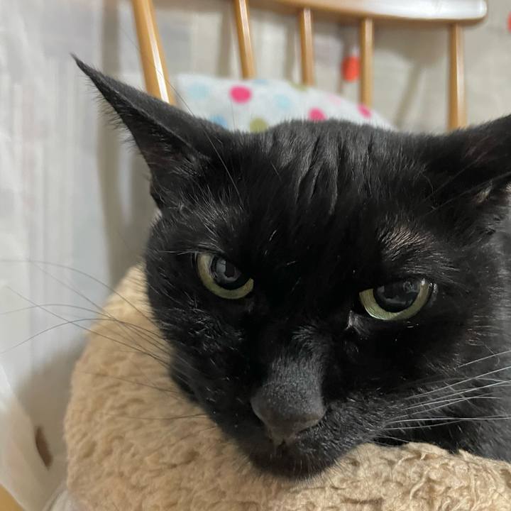 133ef322 5150 41e4 bda0 0c0e40d2492c 1748775208201