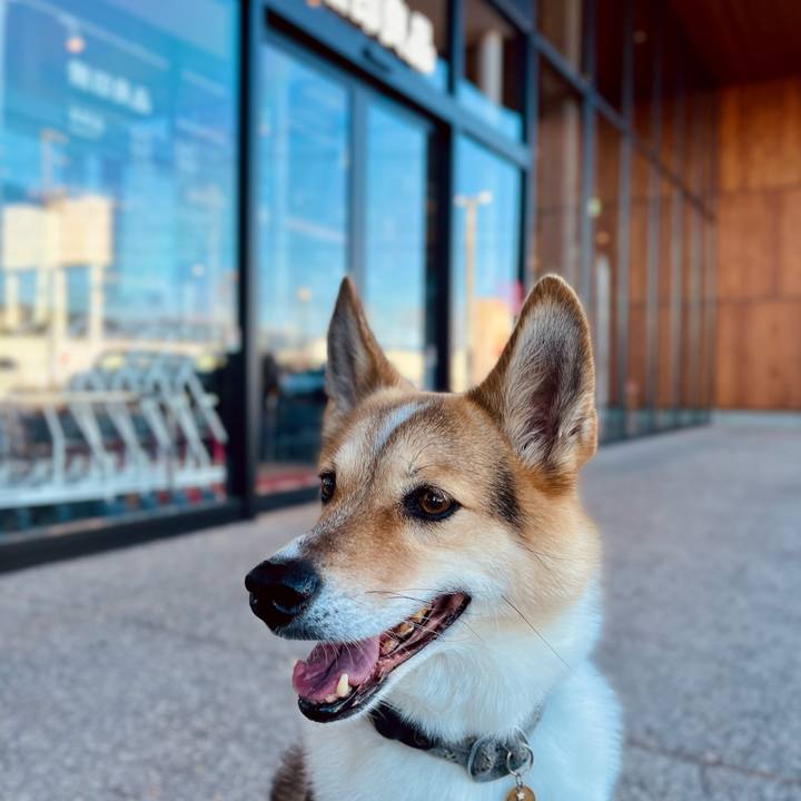 133f53b9 c641 4f2a af34 569c5e025f09 1759990381318