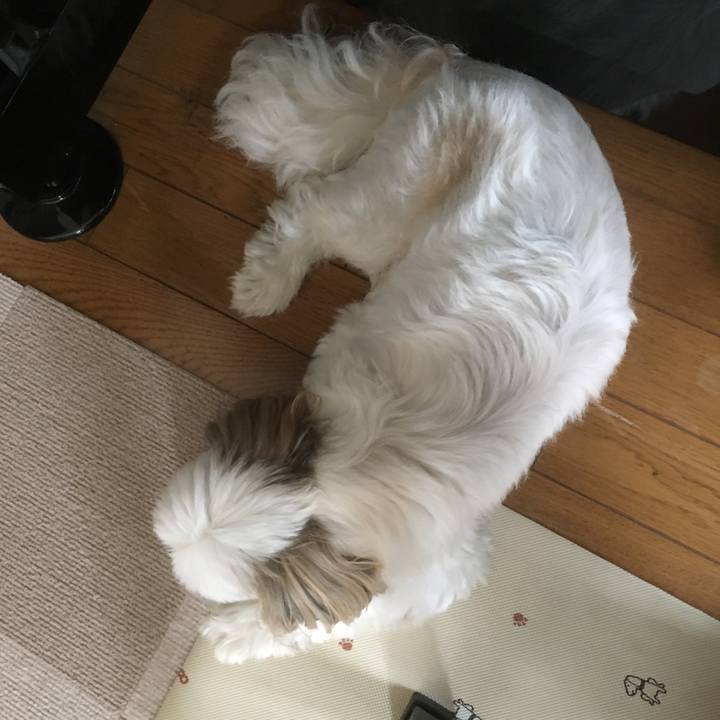 133f6952 3984 4286 8dd7 026ac5daefdc 1531964767520