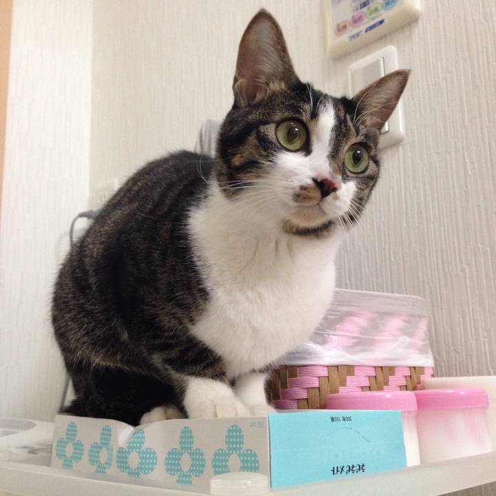 133f9e35 9709 4e6f 8ac9 b3109edb35b9 1513415818435