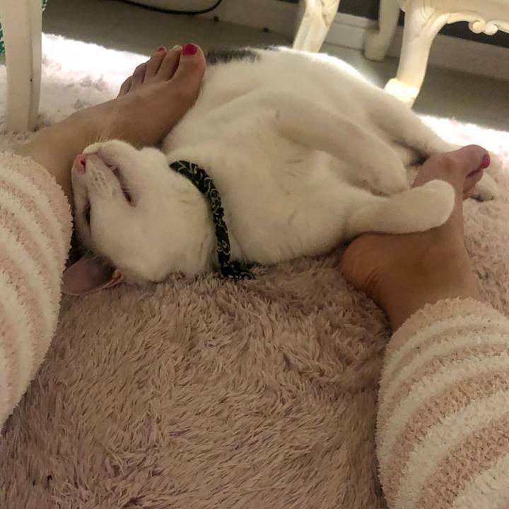 133fa74c afd6 47f8 8ff5 1c094cf45028 1578493205969