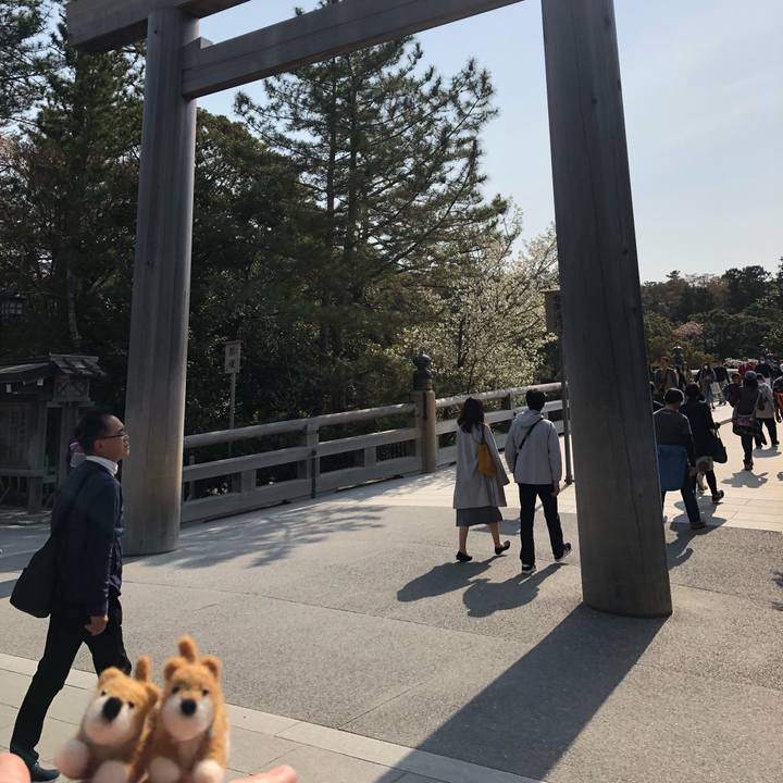 133fe4e9 0080 4313 b226 5ccb0bbea95e 1555229605050