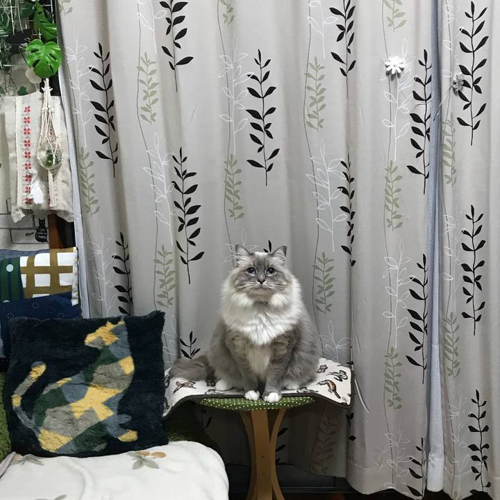 133ff50d 6c0a 42cb 99da 7fd93ea00999 1513405118705