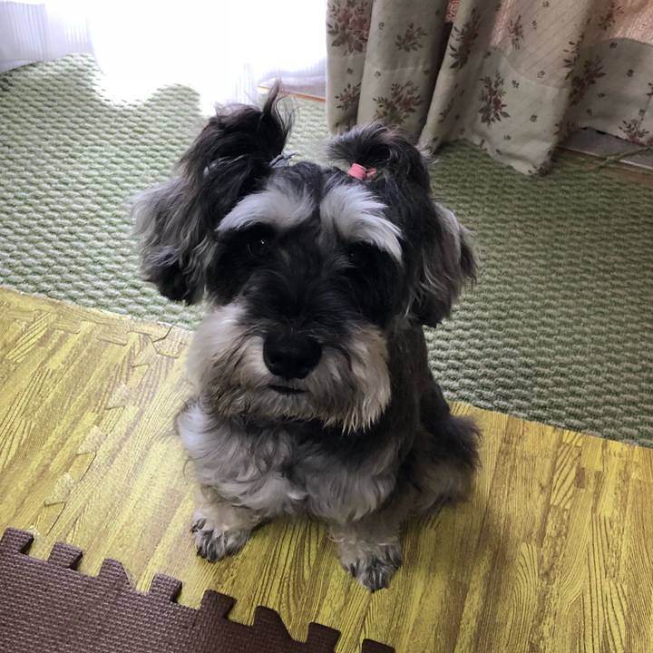 13402f21 f0ab 450e a6b5 c64b725d078c 1537061234234