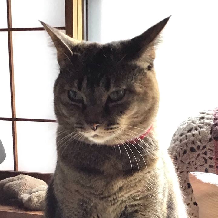 134062a3 586b 405f 9605 c3fe938eed38 1681636454514