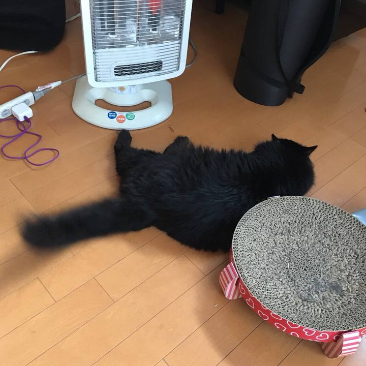 1340ca81 31e8 4690 b383 efa83c4b26b7 1572479135977