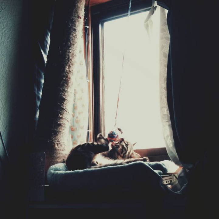 13413e6e da9d 41c3 a8a8 352139754bc7 1541899941783