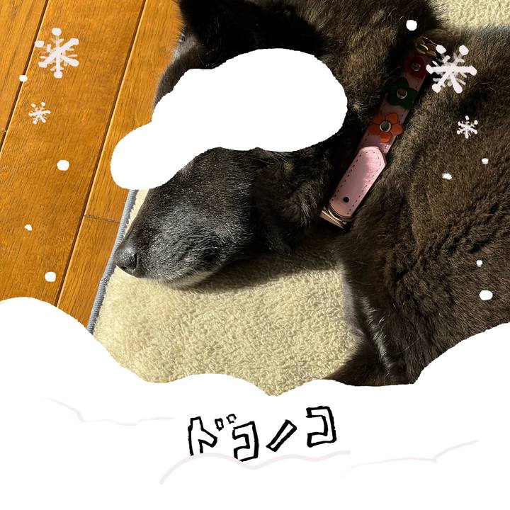 1341955d 6a21 4c37 94c0 3e9bdeb7dbed 1772181427901