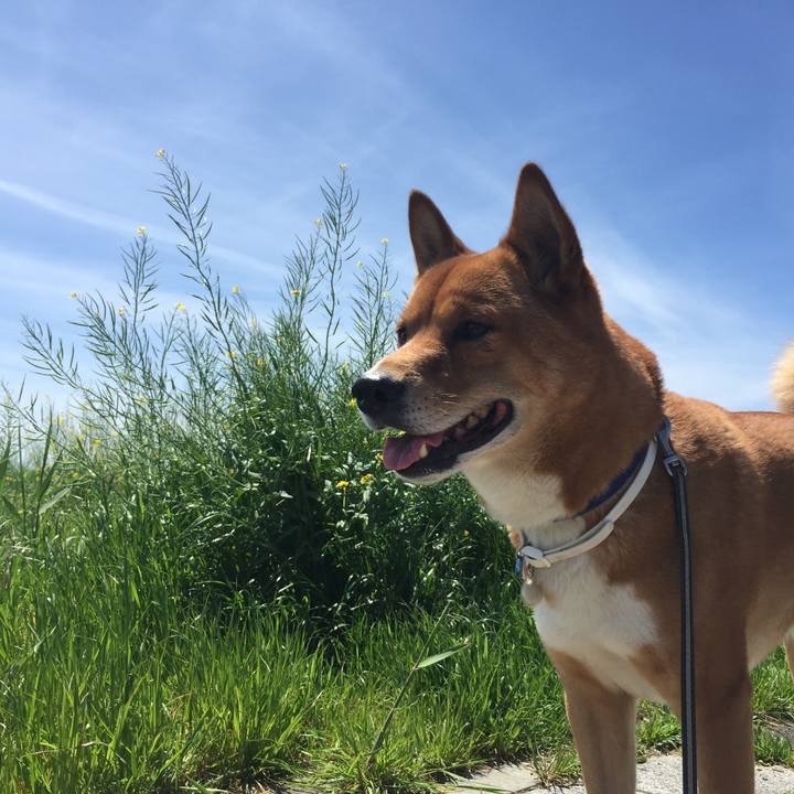 1341a69c de9b 40e2 98c1 0ccead29206f 1556456515694