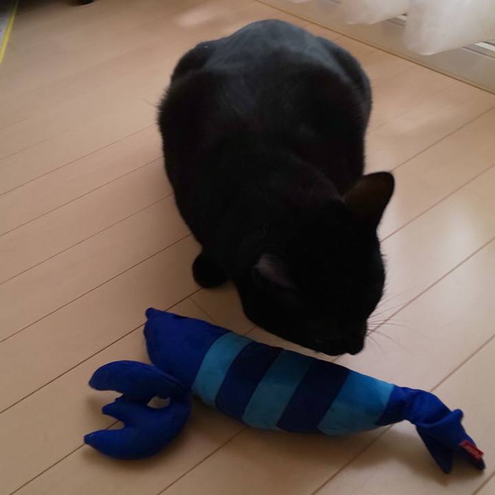 1341aa36 35d7 4479 844f 79c924ec6e7a 1699144299459