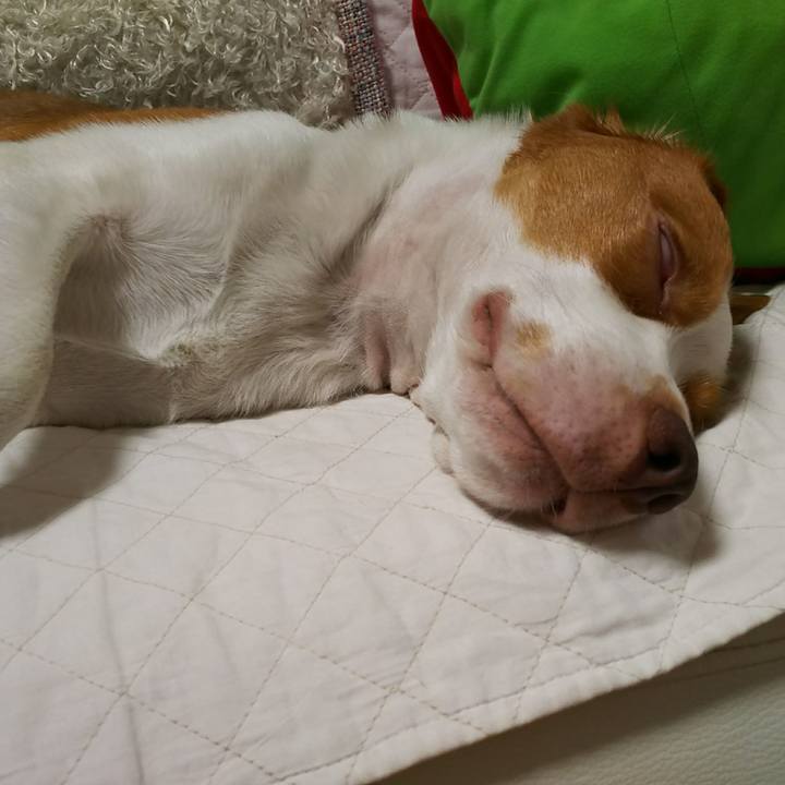 1341bd99 8db6 438d aa82 bf63c46534e4 1533992383987