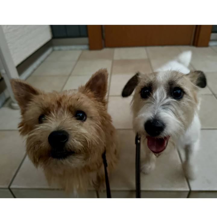 1341d2a5 2907 4b6c 8c5a 2a8a8bbf8503 1758625490982