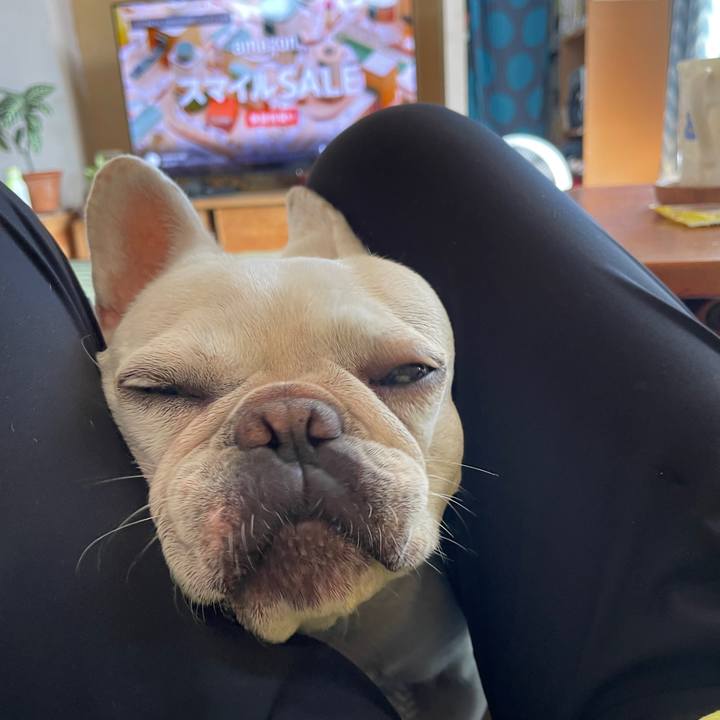 1341db17 e20e 41bc a808 14fd40c12a8c 1724886427973