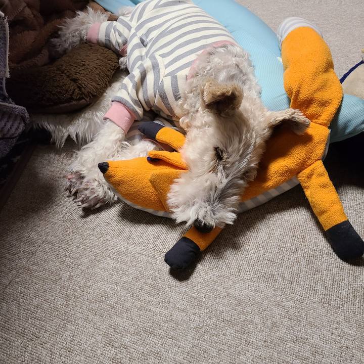 1341e2d5 cbe4 42d0 b6d7 3c20b61d0d05 1672485475822