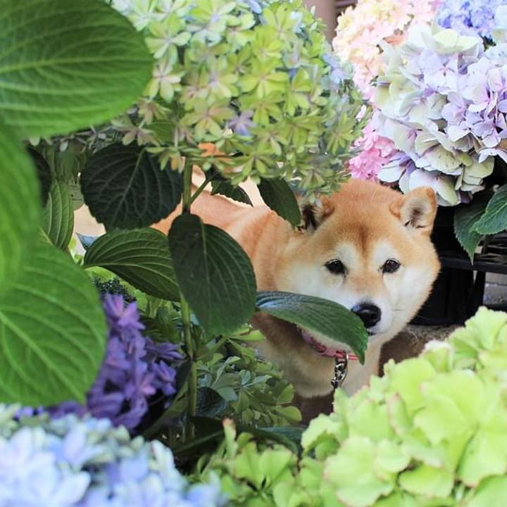 1341ee19 b61b 4601 9c08 3bf69a8dc030 1592709633670