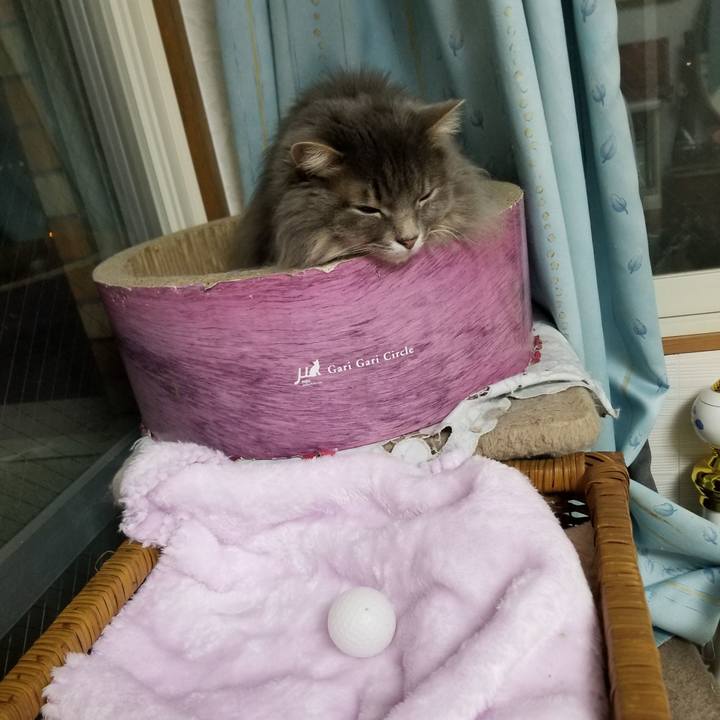 1341fde3 7547 4c93 b6e4 d6d187f14e26 1551953102633