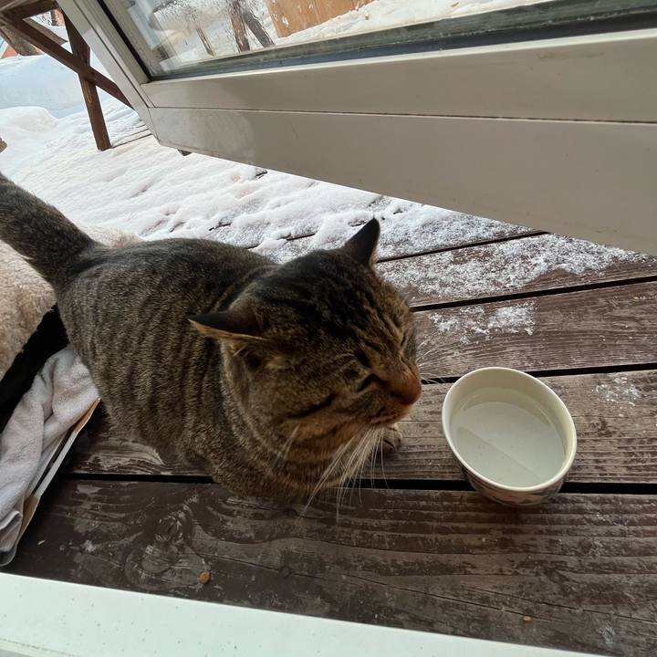 134207dd 404e 4ec2 8666 8ad8ccf8a12c 1739657344835